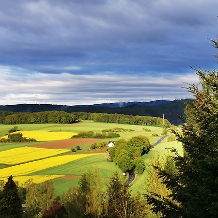 Geraeumige 2-Z Wohnung Im Gruenen, Garten, Terrasse, Ruhig, Natur, Phantastischer Blick! Marburg Ngoại thất bức ảnh