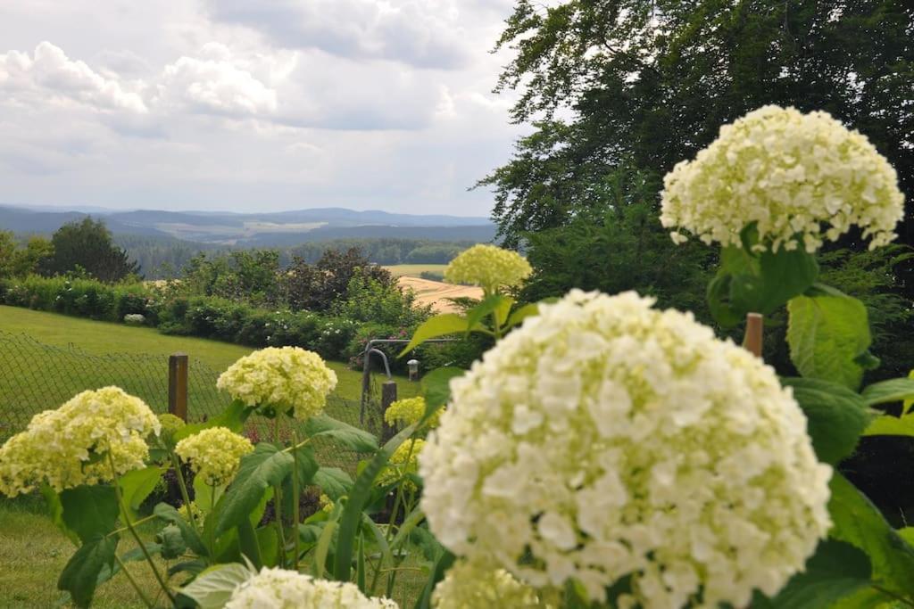 Geraeumige 2-Z Wohnung Im Gruenen, Garten, Terrasse, Ruhig, Natur, Phantastischer Blick! Marburg Ngoại thất bức ảnh